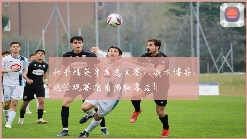 和平精英年度总决赛,战术博弈,这份观赛指南揭秘幕后!
